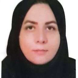 مجده مجدی زاده کرمانی