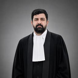 محمدامیر بیگلی
