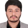 عادل موالی