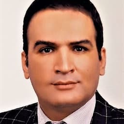 سعید کافی انارکی