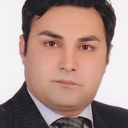 هادی میرزایی