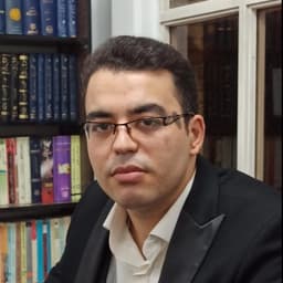 سید امیرحسین لسانی