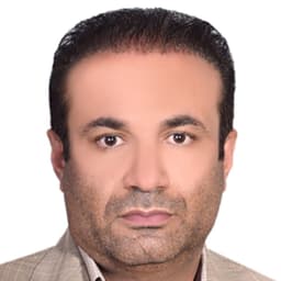 سید امیر دانشی