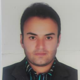 حسن تقی لو