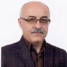 محمدرضا فقیهی