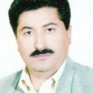 محمدعزیز محمدی
