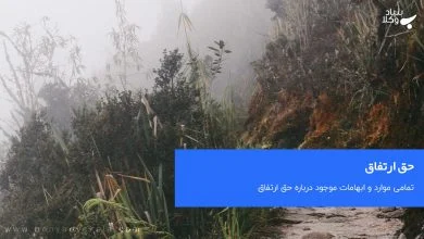 Gyi8hW4TEJRrwh9X54m9MUyuZ1YuLrr3beBQPrRD