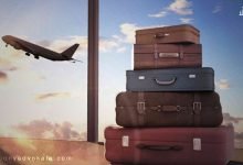 آشنایی با مهاجرت 175 1eEIA3M6w6l1Nhrx9tNzc5xnzJFAVXqDpQL4YODk