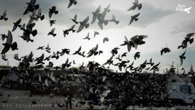 H0UI7h644XAhomJOG0d7sa3ziFtSjhhmgRCGNXmu