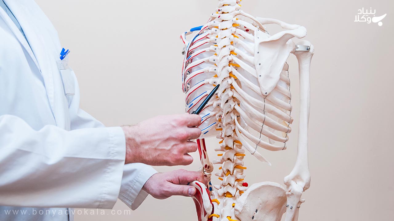 دیه قطع نخاع