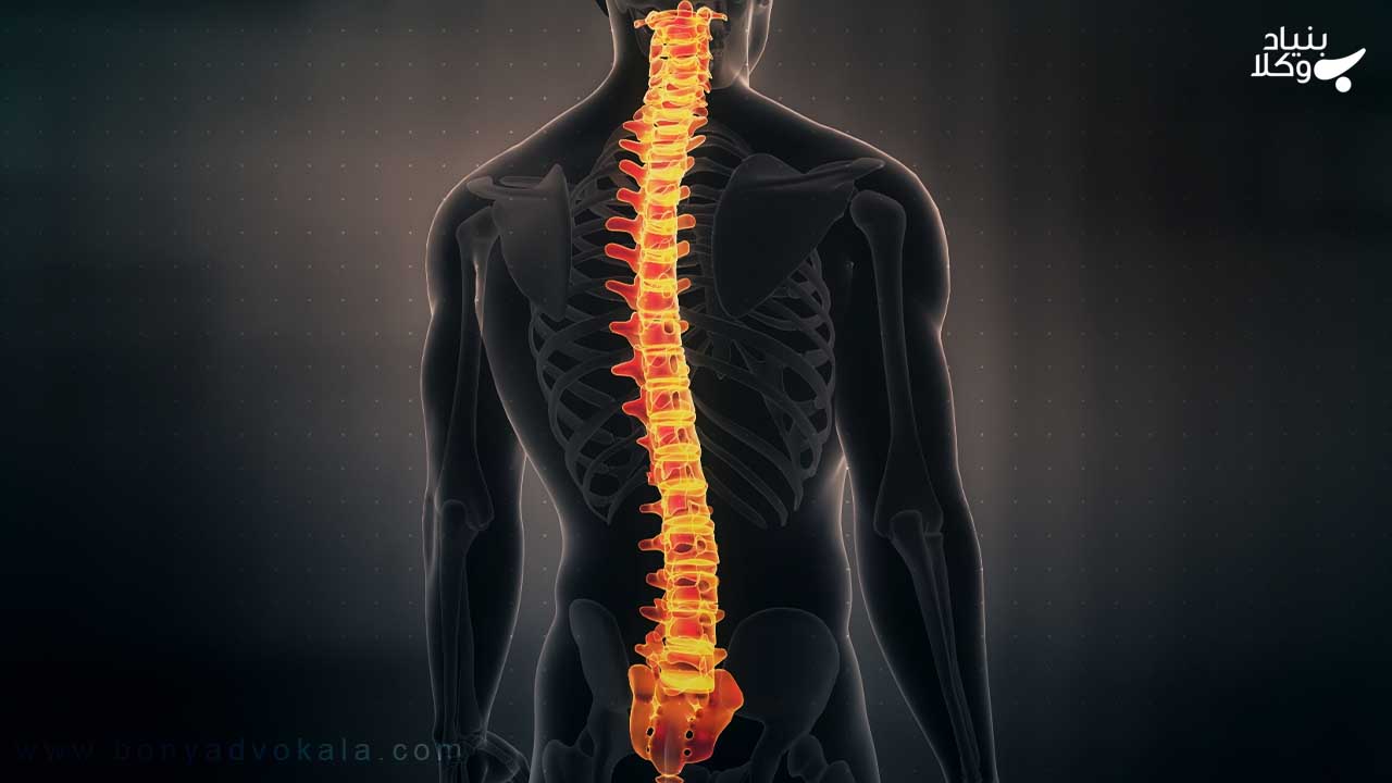 محاسبه دیه قطع نخاع و پیگیری پرونده با بنیاد وکلا