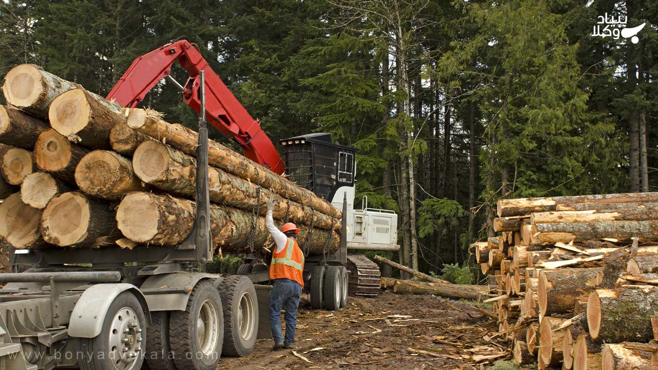 جرم تخریب و مجازات قانونی آن 5 تبیین مفاد قانونی تخریب و یا خشکاندن چراگاه و باغ دیگران
