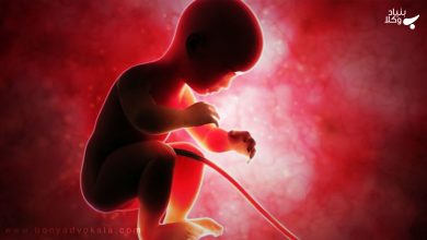 جرم سقط جنین و مجازات آن 16 lulOZ55zKW518qBNnNKApcfTwHE0qRN1v9xFCykL