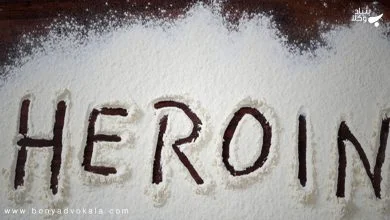 11LiYZU1Yg7mamMFyKSypjrZbY0jKGkFmN936bWC