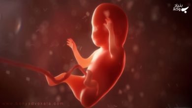 h792f5rC9dadN6wh0fQtmFhoC3nXexR2ocV61LbF