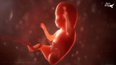 h792f5rC9dadN6wh0fQtmFhoC3nXexR2ocV61LbF