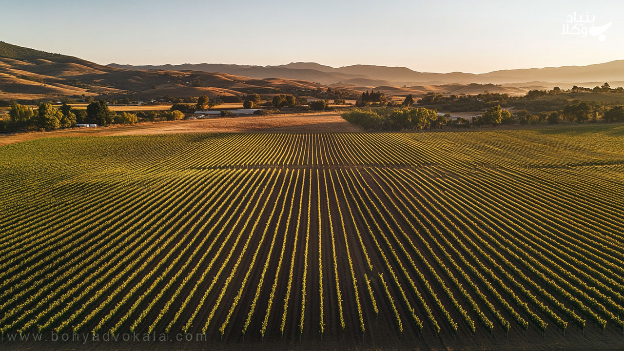 صورتمجلس تفکیکی: راهنمای جامع 5 نحوه تقسیم ملک و تعیین حد و مرز در صورتمجلس تفکیکی