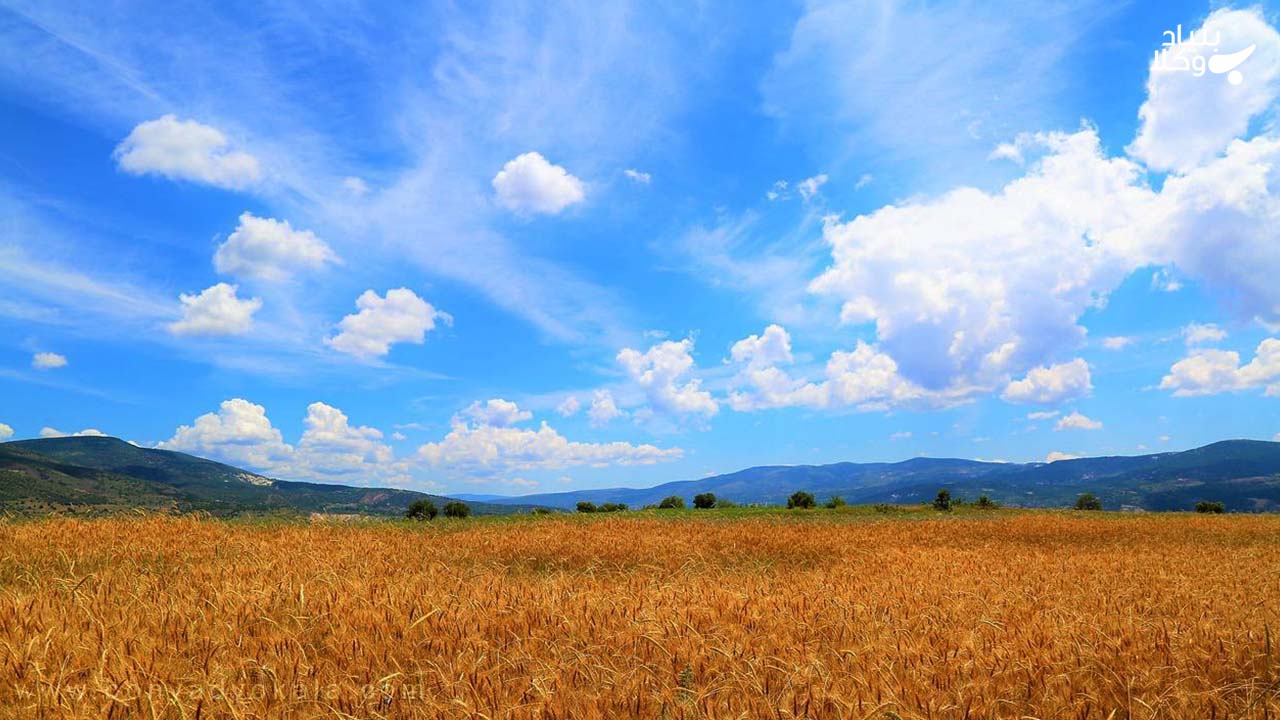 تغییر کاربری اراضی کشاورزی