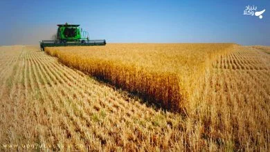 dBTcRzh9SgThFpMF8xIKXFwsWkHWZHkkyBKQ9m5Y