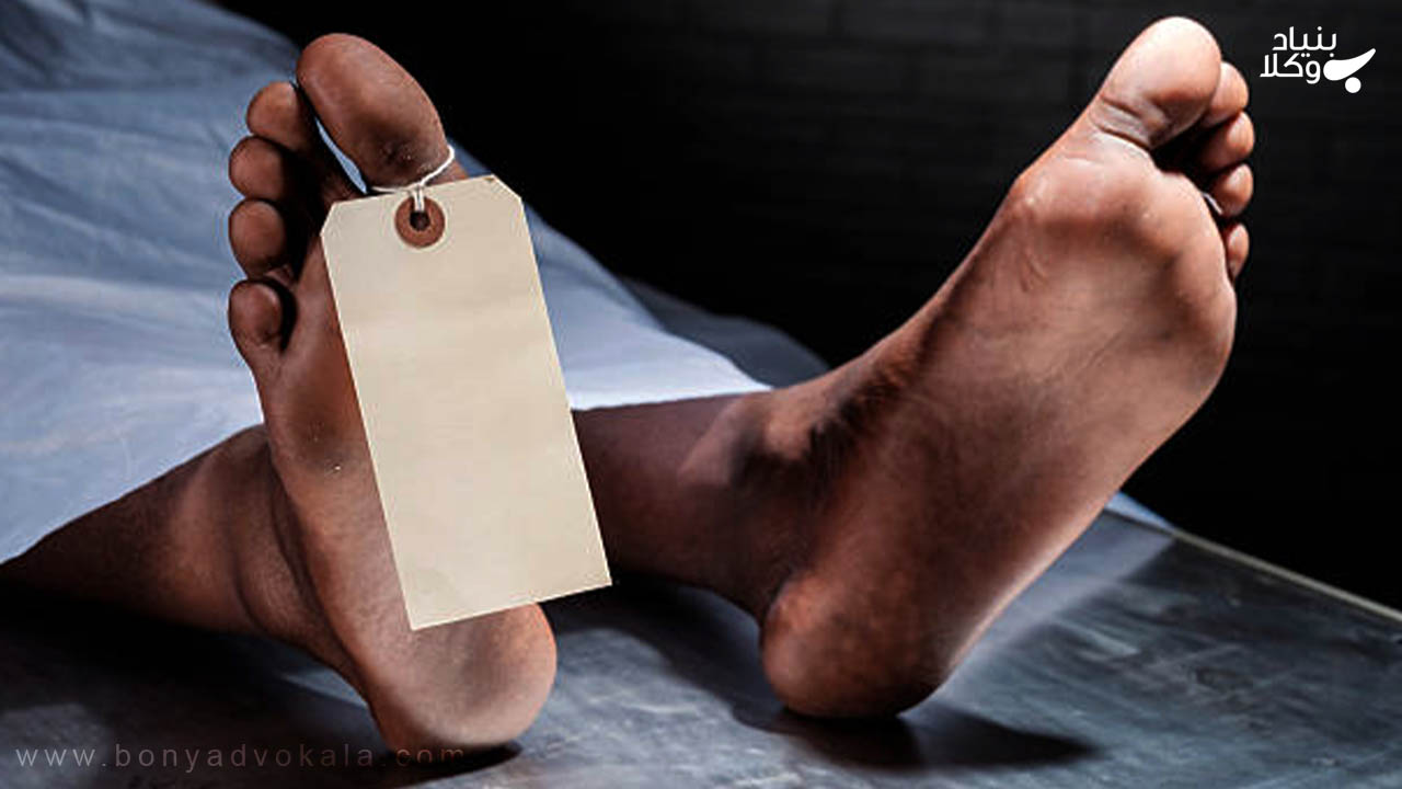 دیه جنایت بر میت 3 جنایت بر میت