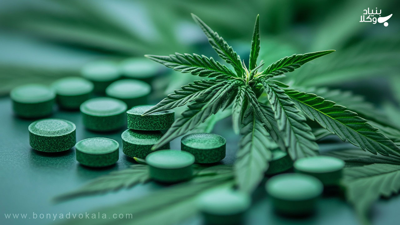 مجازات حمل و خرید و فروش ماریجوانا 2 مواد مخدر ماریجوانا