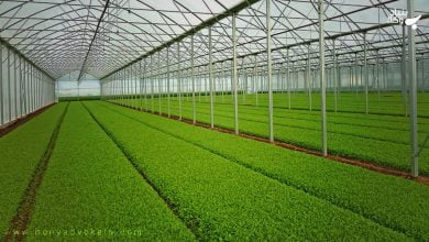 X8jn1Q0ja54mN5F3UdRblm0AE9aIkSfGCa0QIhjA