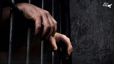 Mz977dq7oUyyCSy4pKR0GlmA3C5yZhNLlpmWtboa