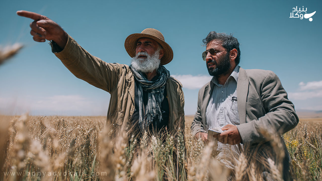 ارکان و عناصر اصلی مزارعه