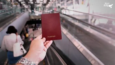 wOeZBUqPTYrEygVqzihGpdEZhsay6Px0uqdgZcxD