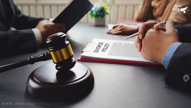 شخصیت حقیقی و شخص حقوقی چیست؟ 6 dNwjyt8WsUsHyLFt3obzv106DDV6pthw5wLdFpl3