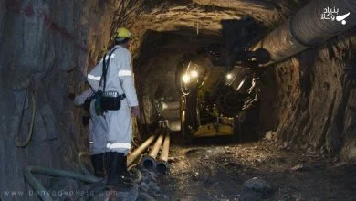 مبانی منع بهره کشی یا استثمار کارگران در جامعه 2 HQsKUGN8Yiq0QgIH2JVxN0npkUgKghV03wlZks1T