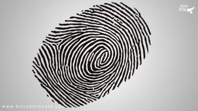 Snh6hFqww1CUTbLIVRa5Zh4bswRiYavpi9KuIPNy