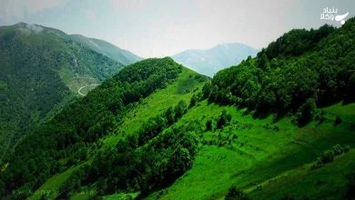 دعاوی مربوط به منابع طبیعی 13 zAn4h1t2WNXgAoYr8KNRHRTxFda3Xe1B2jRoUgLM