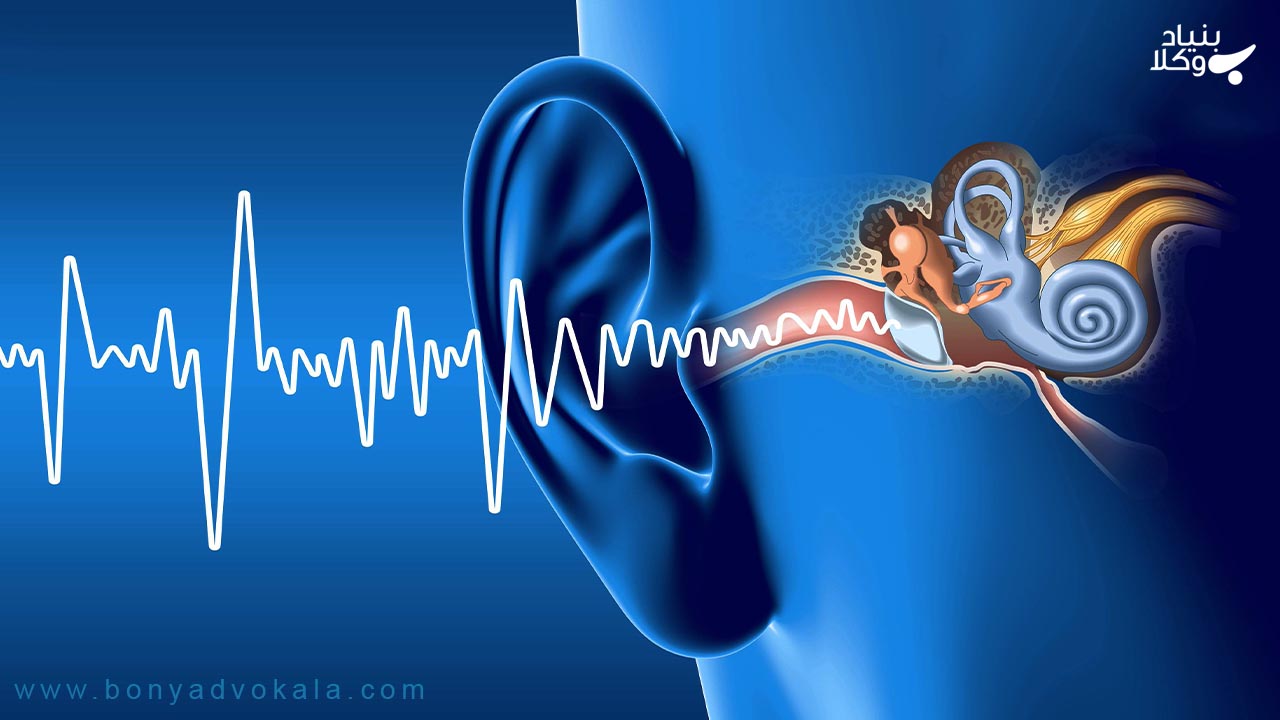 دیه شنوایی و کر شدن گوش در قانون مجازات اسلامی