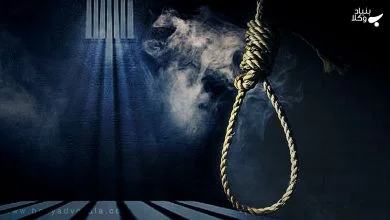 4VoxmSbHVBsf01GzjTFkjMmypdqtIInebkhKKKCx