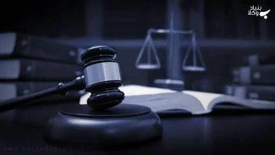 W1N8w8dli9xgwoWSynR9nooZVccmlGv6cXSFiUd1