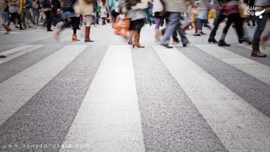 hcbhdn5jTTC5xus854OxofcNbsrhnAodP6Qvsxu3