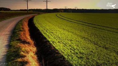 احیاء اراضی موات به چه معناست؟ 15 utrZbTJVOhvDt921ETnf9VdOdU2zxT8TQ9KqA4VR