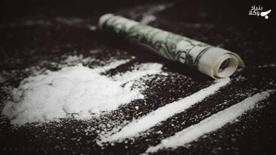 جرم مصرف ماده مخدر سورچه یا سورچی 5 yvupMGC0Aba5vzEqUCYSWe1B7uBinZoWpem9ML1X