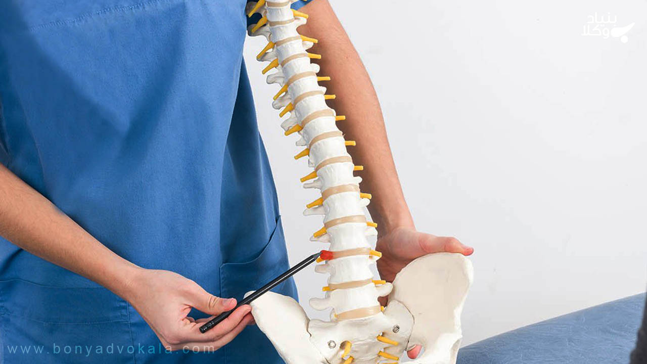 دیه ترک برداشتن در قانون مجازات اسلامی