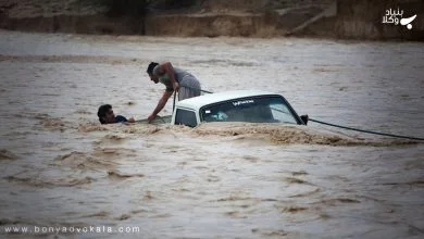 LH64OPTxuop700REnnNx3LqF8GnwyRHosRlxGic5