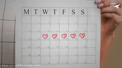 Tw7MwWiZLn4k5oV3VDhNN7hBXwGX4eOuzqq8yGW3