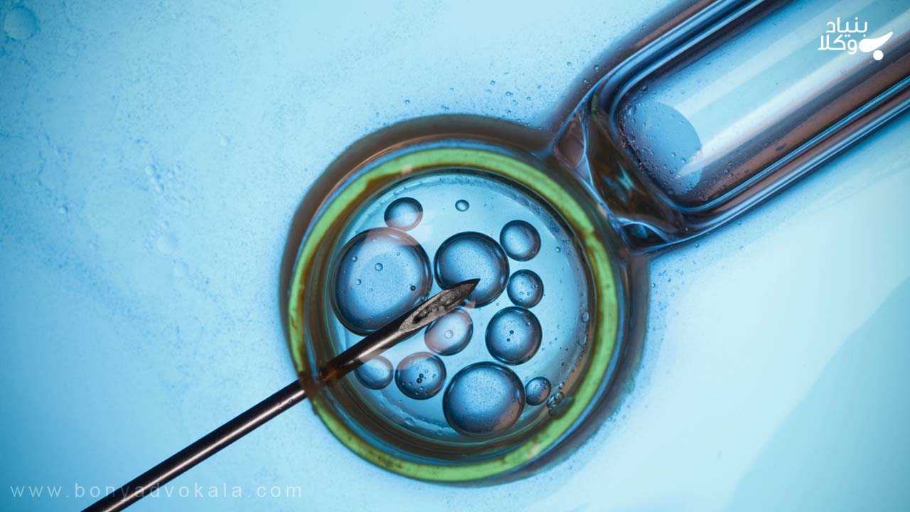 تلقیح مصنوعی در قانون ایران