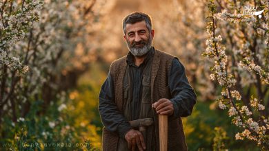 عقد مساقات چیست