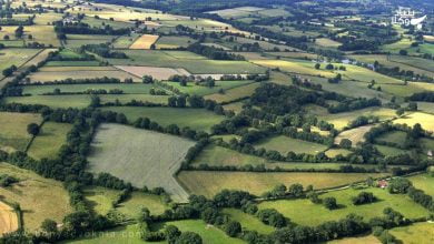 JBUWNGHT22bKpGhE34jZt8orrmupFplyNyrKTL15