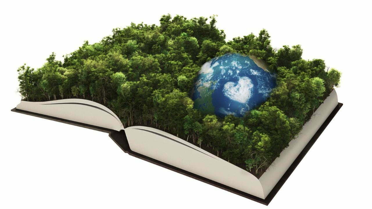 ساختار سازمان محیط زیست