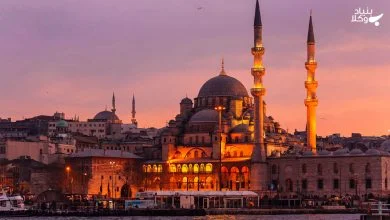 bonyad vokala WM 1 12