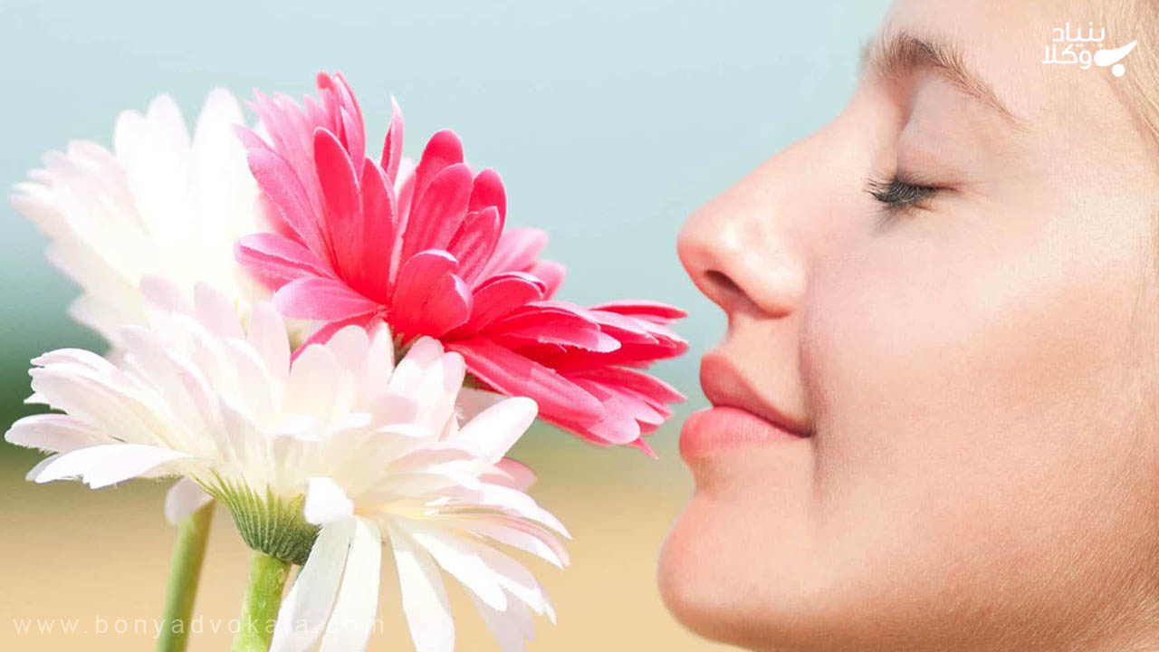 دیه از دست دادن حس بویایی 4 مشاوره حقوقی درباره دیه از دست دادن حس بویایی