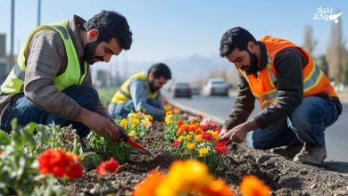 مروری بر ماده ۳۸ قانون تامین اجتماعی