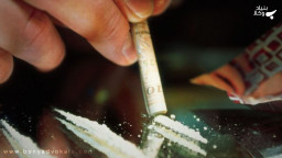 بررسی انواع پرونده های مواد مخدر و ویژگی وکلای مواد مخدر